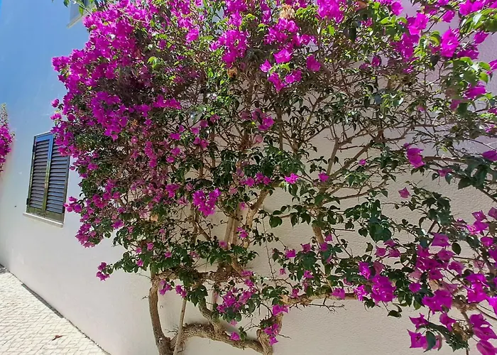Sao Rafael Beach Apartment